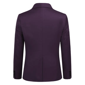 2-Piece Slim Fit Simple Designed Purple Suit