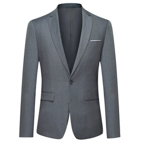 2-Piece Slim Fit Simple Designed Grey Suit